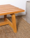 MESA RATONA JARDÍN VIRGO