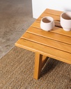 MESA RATONA JARDÍN VIRGO