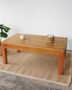 MESA RATONA GAMBOA 110x60